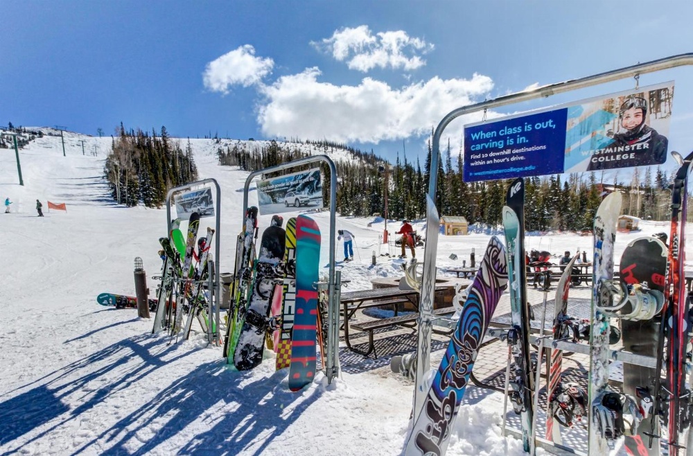 Paradise in the Pines Main image