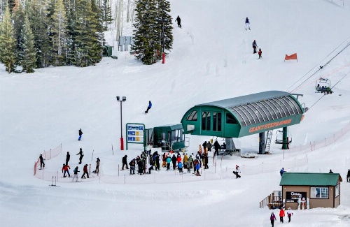 Paradise in the Pines image 22